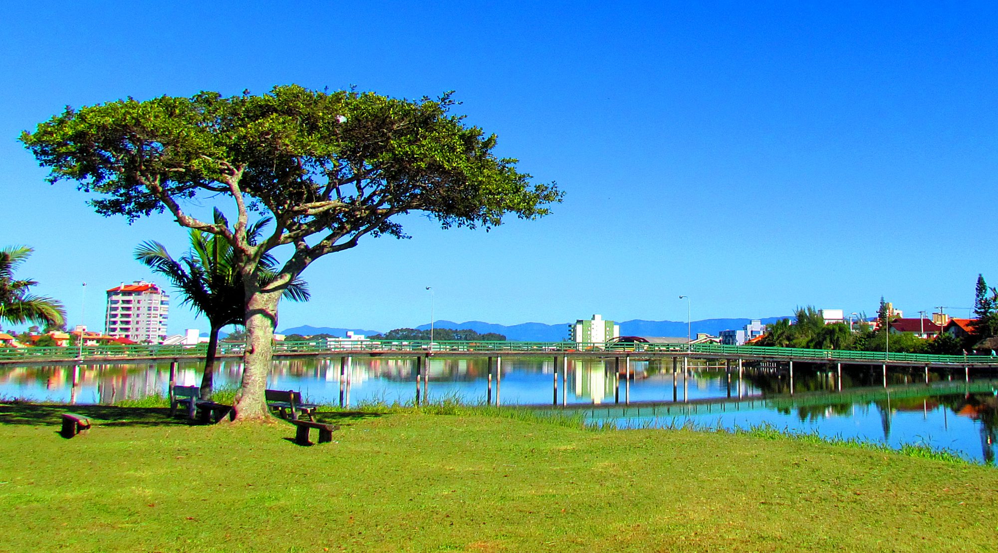 Uma lagoa central, cercada por caminhada, natureza urbana e o ritmo cotidiano da cidade.