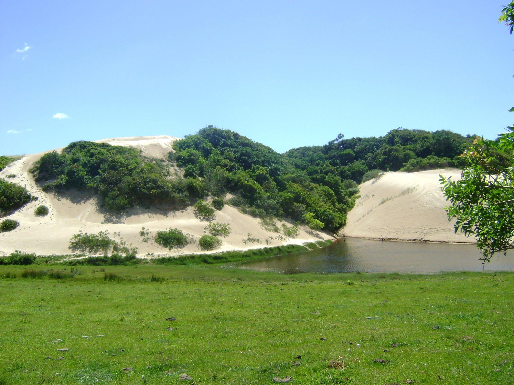 Uma área protegida de dunas, restinga, campos úmidos e biodiversidade no extremo sul de Torres.