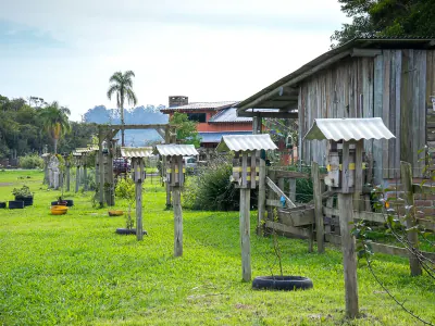 Vivências rurais entre abelhas sem ferrão, méis e produção artesanal, com café colonial e contato com a natureza em Torres.