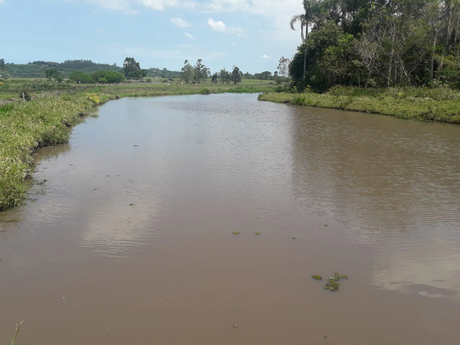 Açude cercado de vegetação no Sítio Vô Inácio