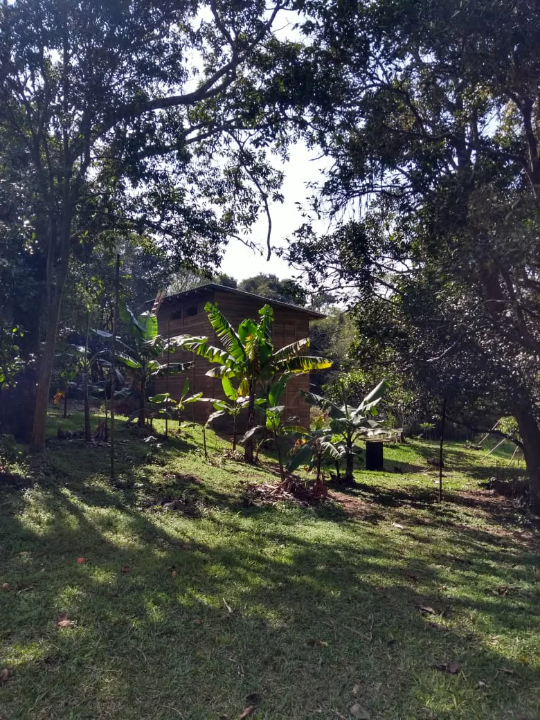 Casa de campo do Nosso Sítio entre árvores e bananeiras