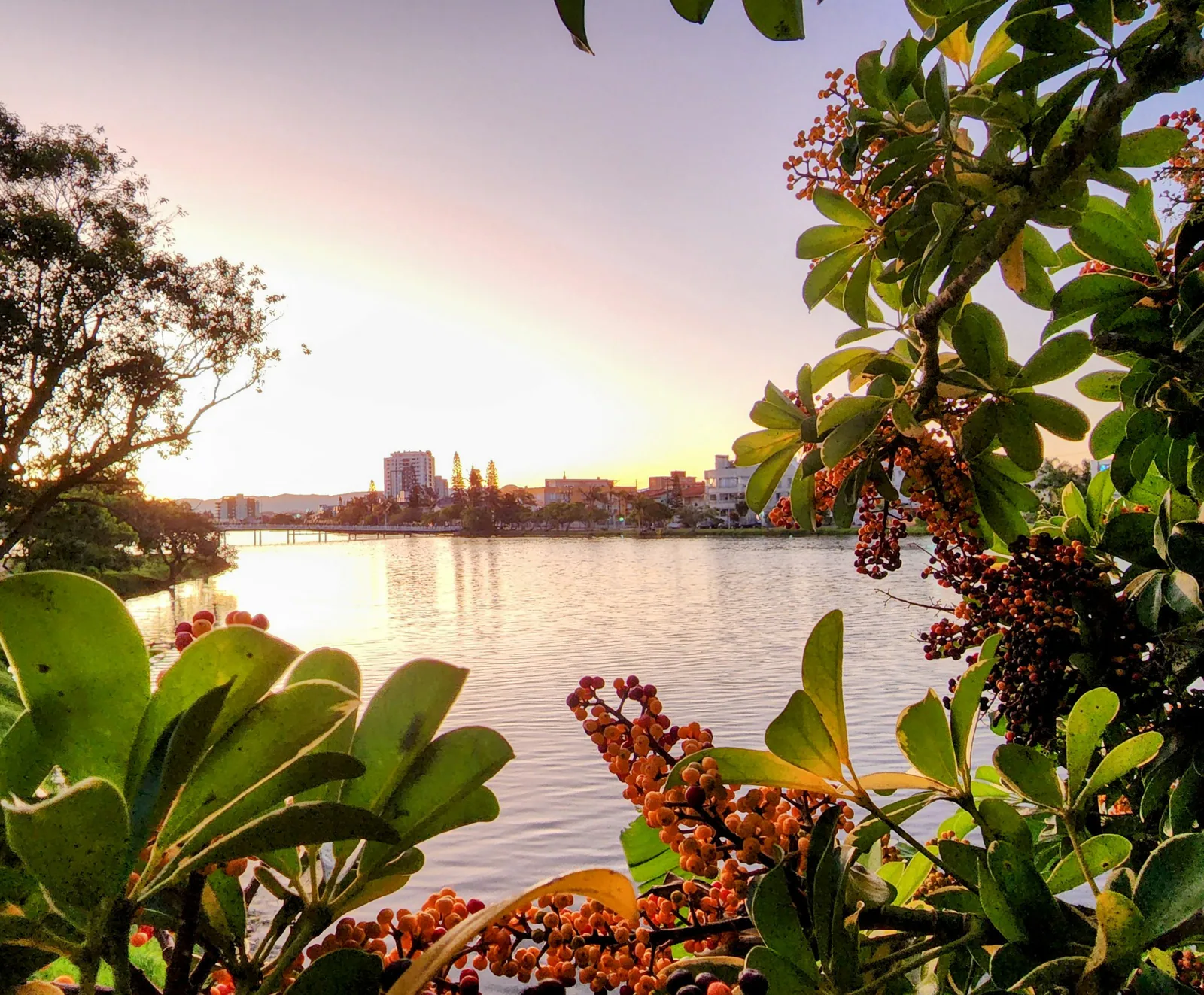 Flowers and foliage in the foreground, with Lagoa do Violão at sunset