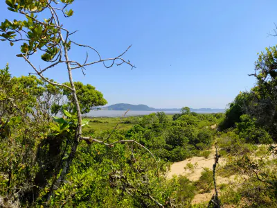 Restingas, dunas e áreas úmidas compõem esta área protegida municipal, cuja planta símbolo é a Tillandsia.